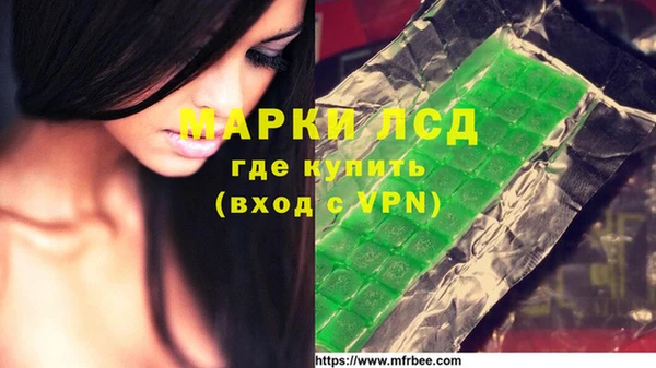 стаф Абаза